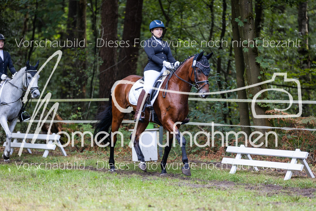 HB-Dressur-WB-039 | MomenTaufnahmen Pferdesportfotos