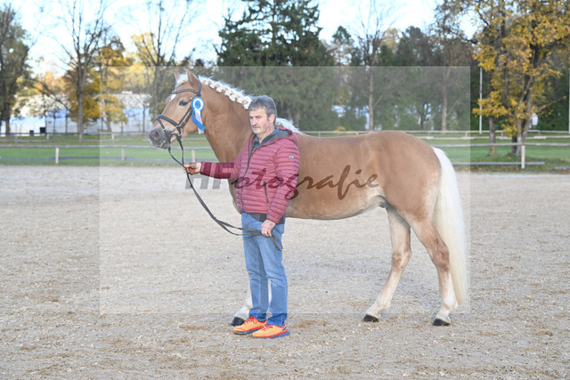 Kat-Nr. 3 Benz-E v. Blitz-U_Wendlinger_43250886 | hf-fotografie - Realized with Pictrs.com