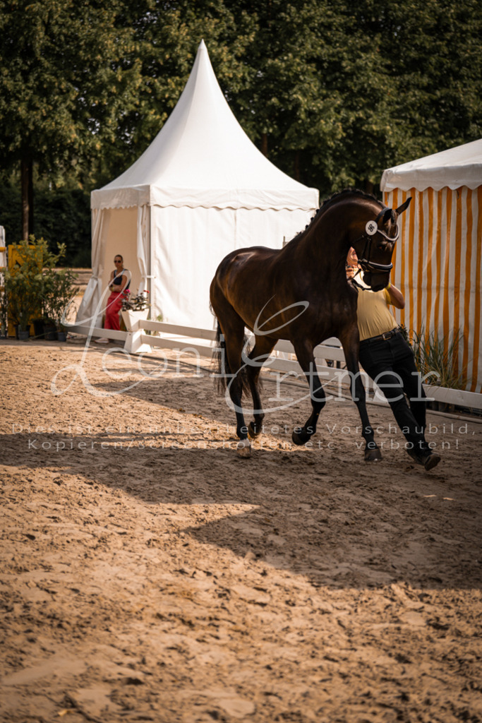 FrER00166 | Leoni Ertmer Photography - Realisiert mit Pictrs.com