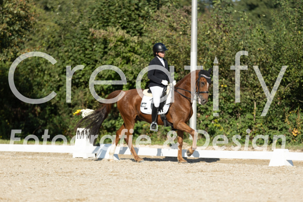 IMG_0682 | Creatify Fotografie