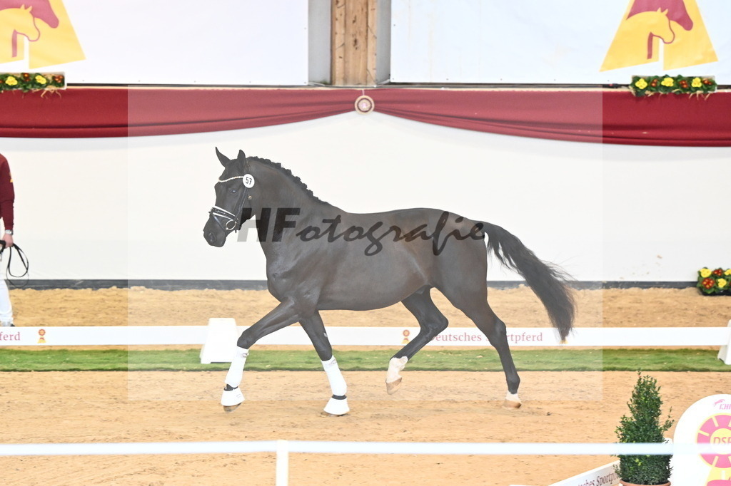 Kat.-Nr. 57 v. McLaren_Schulze Averdiek_2240664 | hf-fotografie - Realisiert mit Pictrs.com