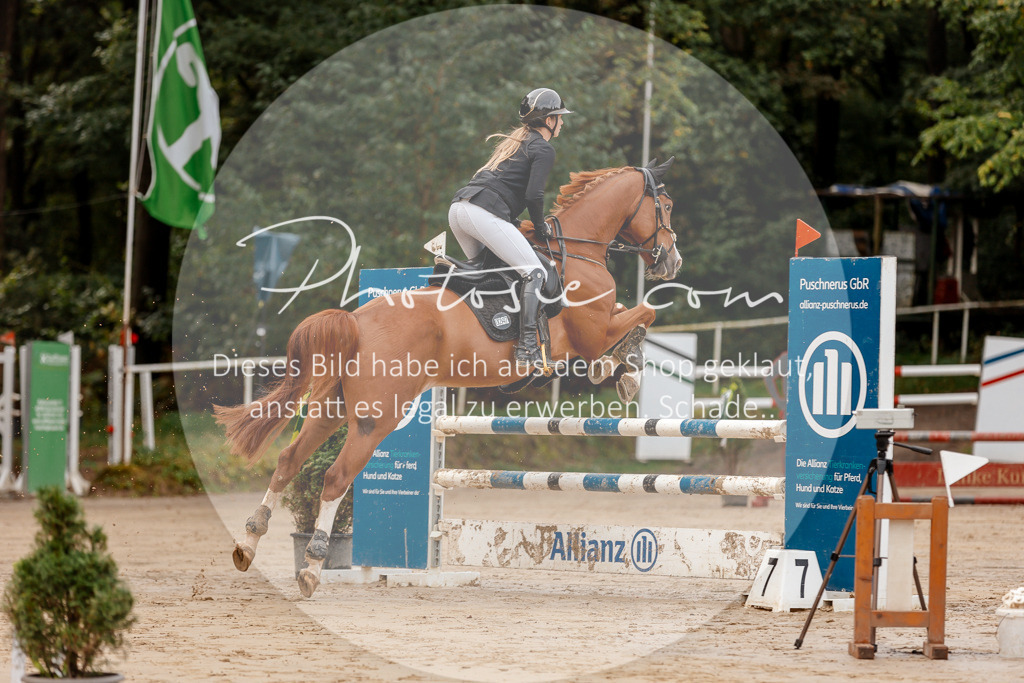 3I6A6438 | Stimmungsvolle Portraits und Reitsportfotografie im Ruhrgebiet und im Münsterland.

Pferdefotografie, Hundefotografie, Tierfotografie, Reportagen, Portraits von Tier und Mensch, Turnierfotografie in Bochum, Recklinghausen, Marl, Haltern am See, Dülmen.. - Realisiert mit Pictrs.com