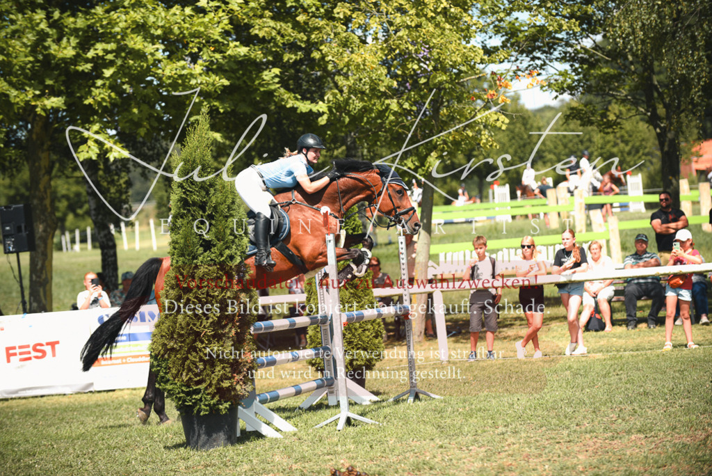 DSC_6516 | Pferde- und Turnierfotografie in Westsachsen. Pferdeportraits, Auftragszeichnungen und intuitive Kunst.