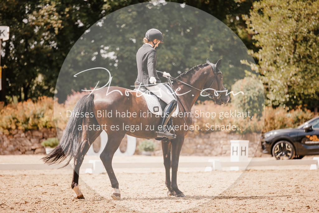 3I6A6283 | Stimmungsvolle Portraits und Reitsportfotografie im Ruhrgebiet und im Münsterland.

Pferdefotografie, Hundefotografie, Tierfotografie, Reportagen, Portraits von Tier und Mensch, Turnierfotografie in Bochum, Recklinghausen, Marl, Haltern am See, Dülmen.. - Realisiert mit Pictrs.com