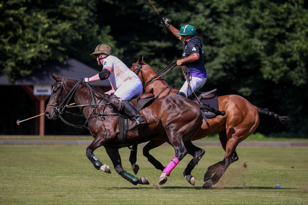 1_LaMaisonVsEasybill.de_200525_029 | Bildergalerie von Sport-Ereignissen aber auch von weiteren spannenden Dingen - nicht nur vom Niederrhein. In Anlehnung an den bekannten Spruch von Hanns Dieter Hüsch heißt das Motto: "Niederrhein ist überall".  - Realisiert mit Pictrs.com