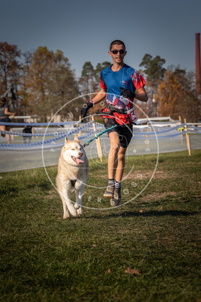 CaniXpix_0L8A8229 | Hundefotografie, Tierfotograf, Pfotenfotografie, Fotoshooting Hund, Hunde Portrait, Hundesport, Hundeportraits, Heideshooting, Hunde, Sportfotograf, Hundefotograf, Turnierhundsport, THS,  - Realisiert mit Pictrs.com