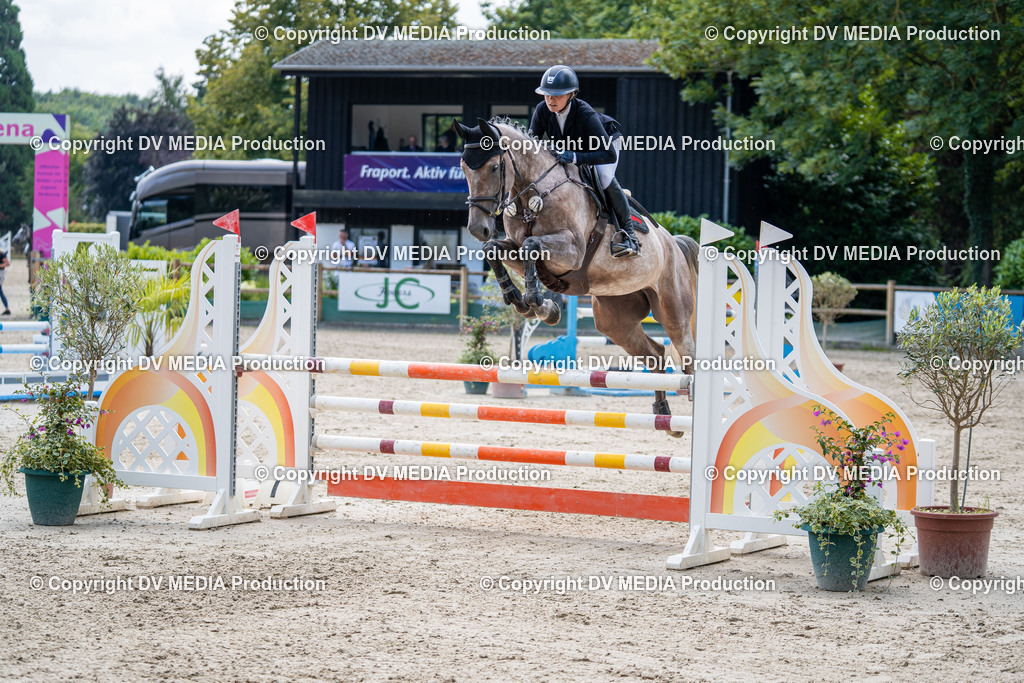 Hessische Tag 1-229 | dv-media-shop - Realisiert mit Pictrs.com