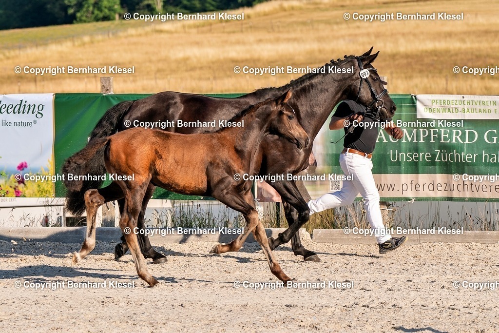 2A905479 | foto-team-bernhard - Realisiert mit Pictrs.com