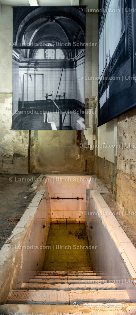 _ulrichschrader.com-239 | Stockfoto und Bilderpool mit Bildmaterial aus Deutschland, dem Harz, Halberstadt, Quedlinburg, Wernigerode und weltweit. Qualitativ hochwertige und professionelle Fotos anschauen und kaufen. - Realisiert mit Pictrs.com