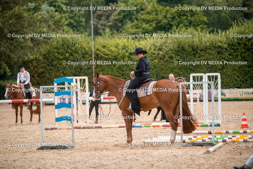 ZS2_8033 | dv-media-shop - Realisiert mit Pictrs.com