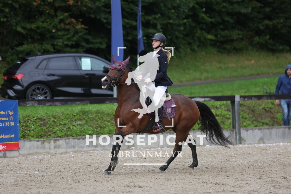 0P6A0681 | Willkommen bei Brunnmayr - Design & Fotografie – Ihrem Spezialisten für Reitturniere und Pferdeveranstaltungen in Oberösterreich, Salzburg und Bayern! Seit über 17 Jahren sind wir leidenschaftlich dabei.