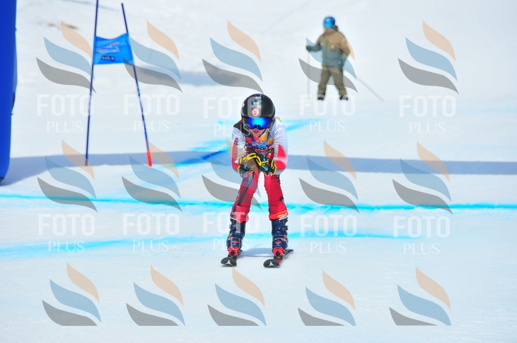 DSC_5622 | holidayphoto