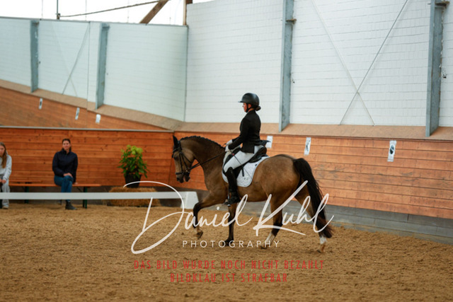 _62_6301 | Turniersportfotografie; Pferdefotografie; Dressurfotografie