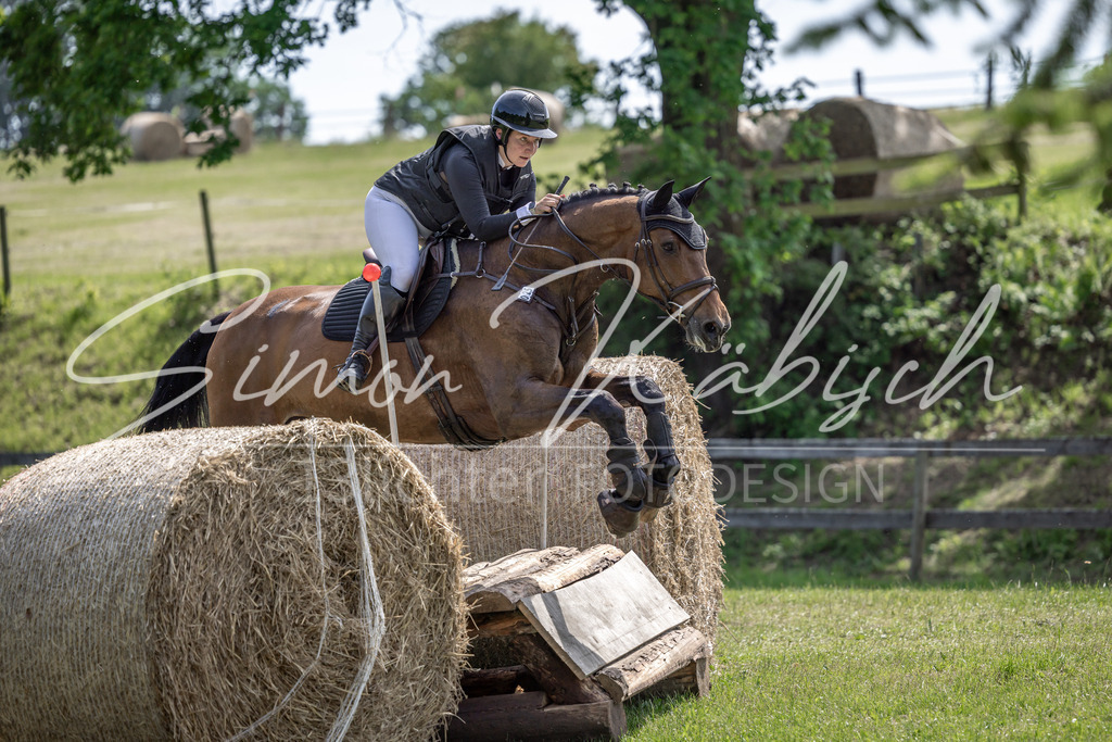 20260523-_3LI9085 | Tierfotografie Pferde, Hunde, Katzen, Haustiere.
Turnierfotografie Reitturniere, Reiten, Springreiten, Dressur in Hanau, dem Main-Kinzig-Kreis und dem Rhein-Main- Gebiet um Frankfurt