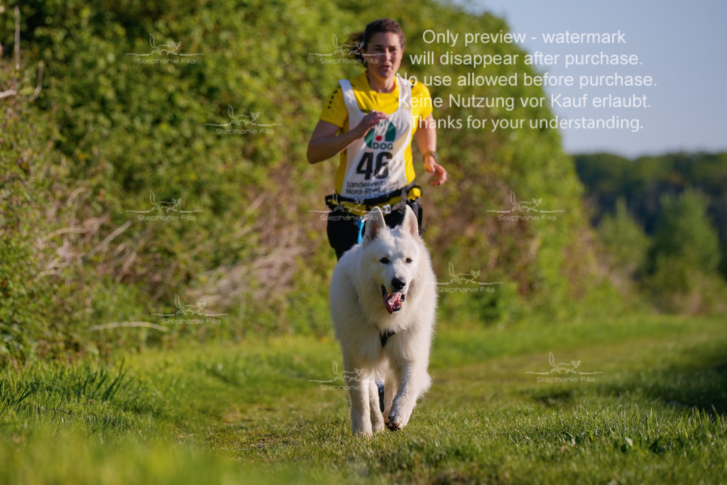 So_GL5undSprint-58 | stephaniefillaphotographie - Realisiert mit Pictrs.com