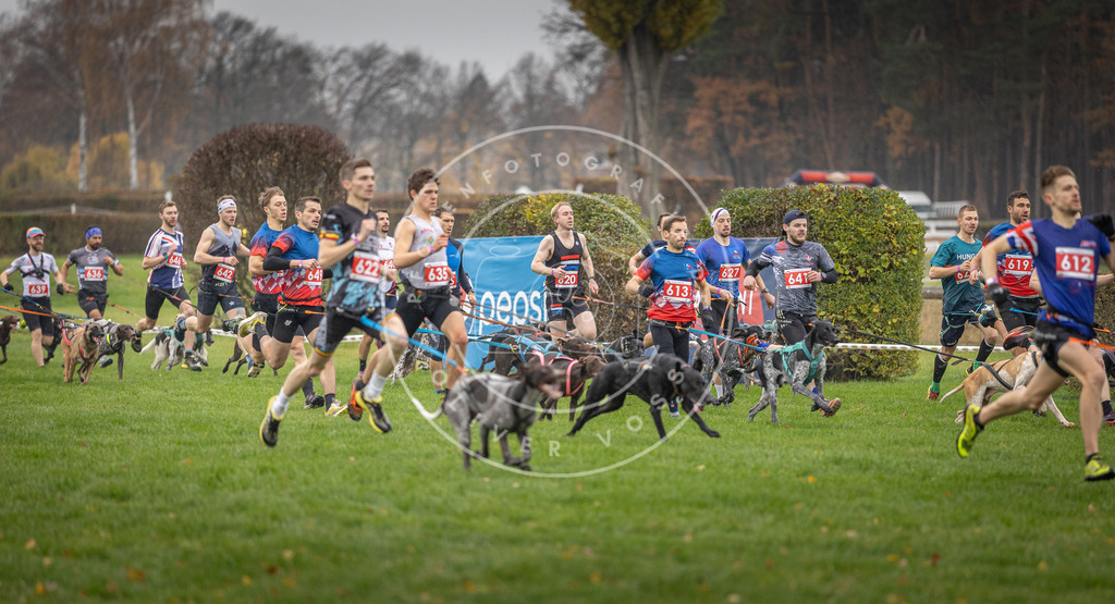 CaniXpix_DV3A9456 | Hundefotografie, Tierfotograf, Pfotenfotografie, Fotoshooting Hund, Hunde Portrait, Hundesport, Hundeportraits, Heideshooting, Hunde, Sportfotograf, Hundefotograf, Turnierhundsport, THS,  - Realisiert mit Pictrs.com