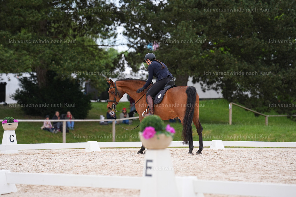 PI26_DR_248_Stoibphotography_SIN00511.jpg | working equitationturnier fotograf videograf stoibphotography marixx film working equitation deutschland reitsport turnierfotografie eventfotografie equestrian events