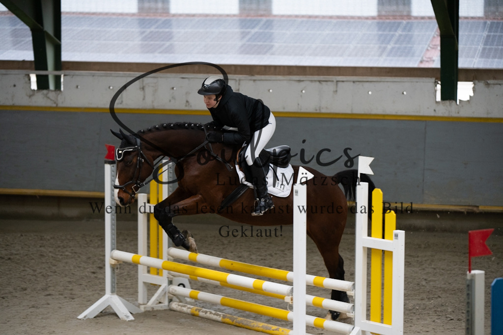 A7V00901 | Pferdefotograf