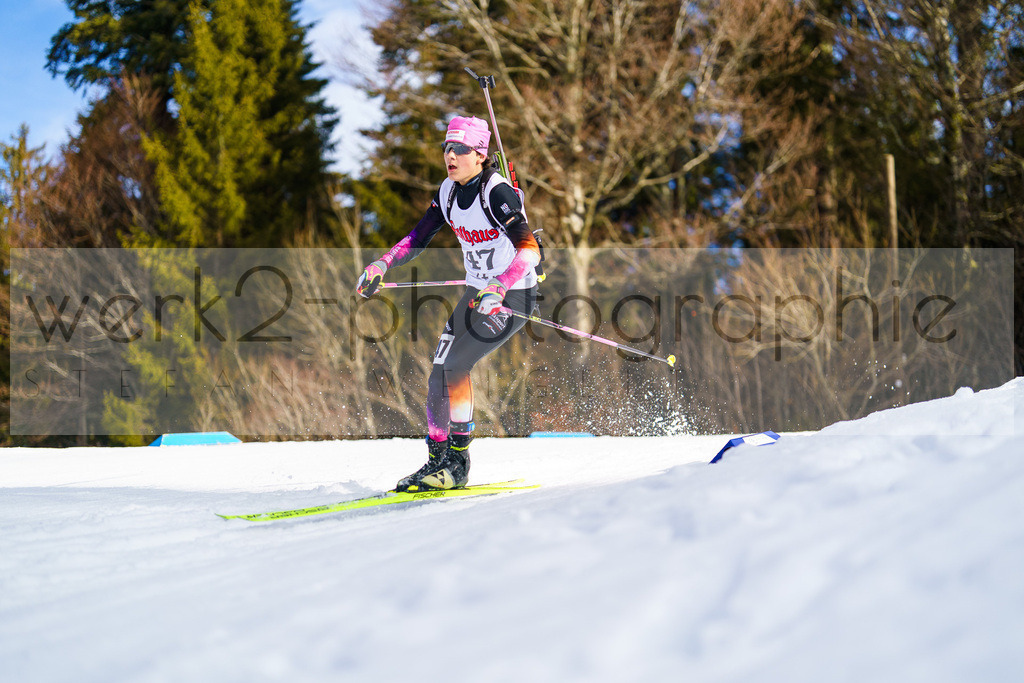 FESA Alpencup / DP Notschrei | Deutschland Pokal Finale im Schwarzwald NORDIC-CENTER Notschrei am 7. - 8. Februar 2026