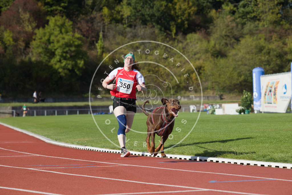 0L8A9530 | Hundefotografie, Tierfotograf, Pfotenfotografie, Fotoshooting Hund, Hunde Portrait, Hundesport, Hundeportraits, Heideshooting, Hunde, Sportfotograf, Hundefotograf, Turnierhundsport, THS,  - Realisiert mit Pictrs.com
