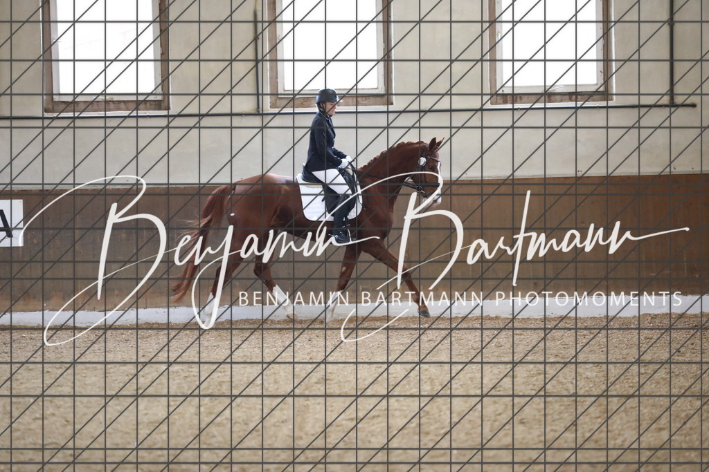 AZ2A0013 | Benjamin Bartmann Photomoments