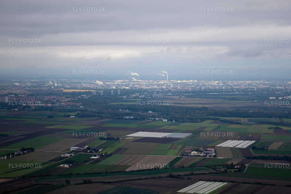 Luftbild: Ortsansicht in Mutterstadt im Bundesland Rheinland-Pfalz in Deutschland. Foto: IMG_34186.jpg vom 02.10.2010 durch Werner Riehm/FLY-FOTO.de
