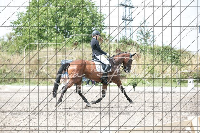 _W6A9014 | ronjaprokoschfotografie - Realisiert mit Pictrs.com