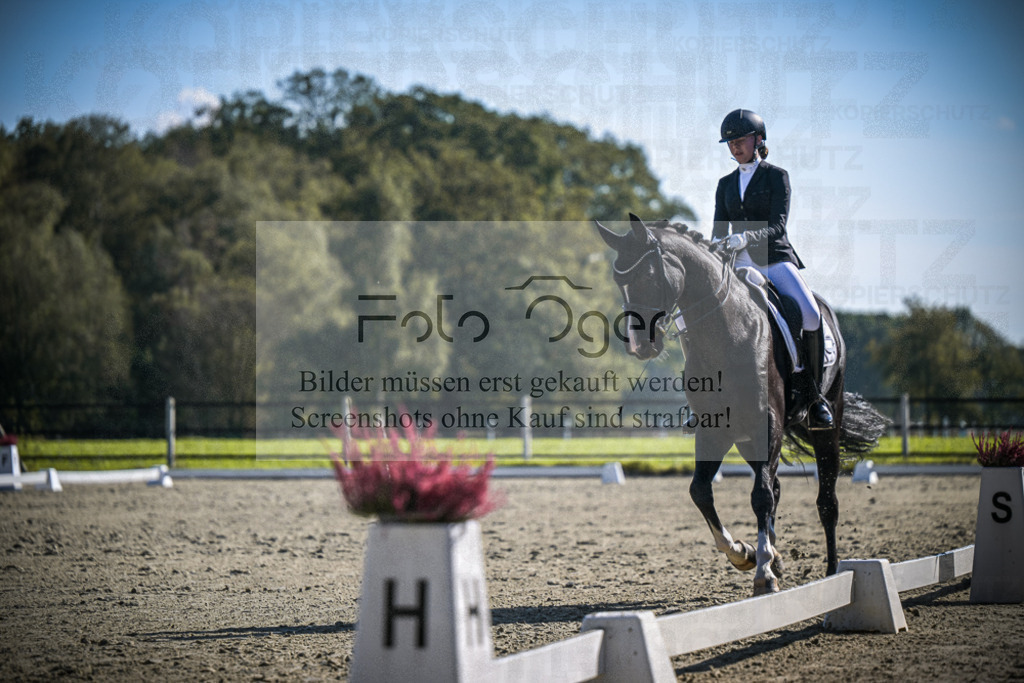DOS_2468 | Entdecke hochwertige Reitturnierfotos von Foto Oger. Professionell, emotional und authentisch – jetzt Lieblingsmomente im Shop bestellen.Deutschlandweite Turnierfotografie. - Realisiert mit Pictrs.com