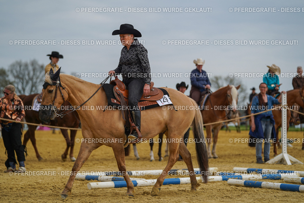 DSC02345 | Pferdegrafie