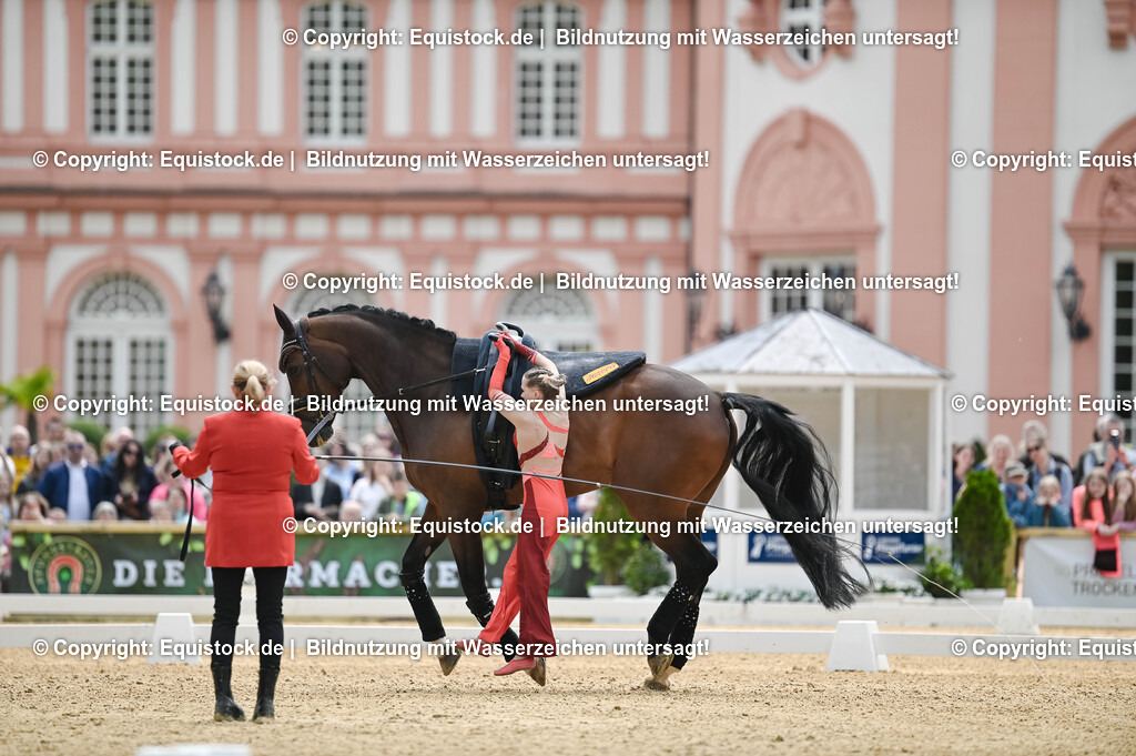 20250608_CVI-Masterclass_0161 | Foto: Thomas Hartig