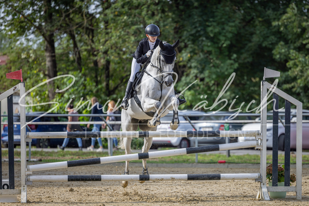 20260905-_3LI7237 | Tierfotografie Pferde, Hunde, Katzen, Haustiere.
Turnierfotografie Reitturniere, Reiten, Springreiten, Dressur in Hanau, dem Main-Kinzig-Kreis und dem Rhein-Main- Gebiet um Frankfurt