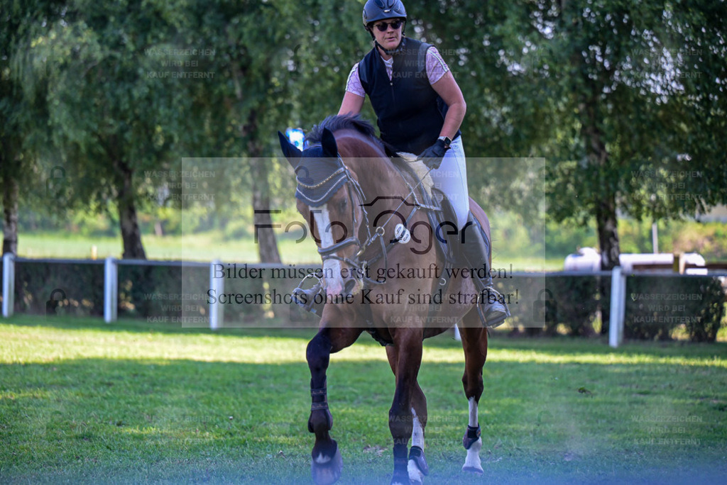 Reitturnier Voxtrup | Entdecke hochwertige Reitturnierfotos von Foto Oger. Professionell, emotional und authentisch – jetzt Lieblingsmomente im Shop bestellen. - Realisiert mit Pictrs.com