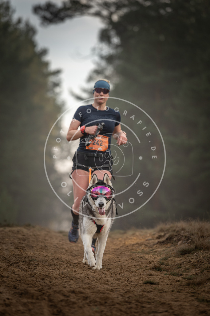 Pfotenfotografie_DV3A5797 | Hundefotografie, Tierfotograf, Pfotenfotografie, Fotoshooting Hund, Hunde Portrait, Hundesport, Hundeportraits, Heideshooting, Hunde, Sportfotograf, Hundefotograf, Turnierhundsport, THS,  - Realisiert mit Pictrs.com