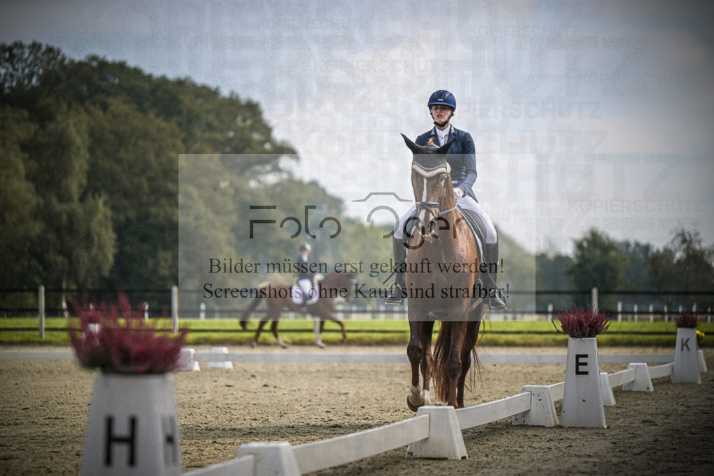 DOS_B640 | Entdecke hochwertige Reitturnierfotos von Foto Oger. Professionell, emotional und authentisch – jetzt Lieblingsmomente im Shop bestellen.Deutschlandweite Turnierfotografie. - Realisiert mit Pictrs.com