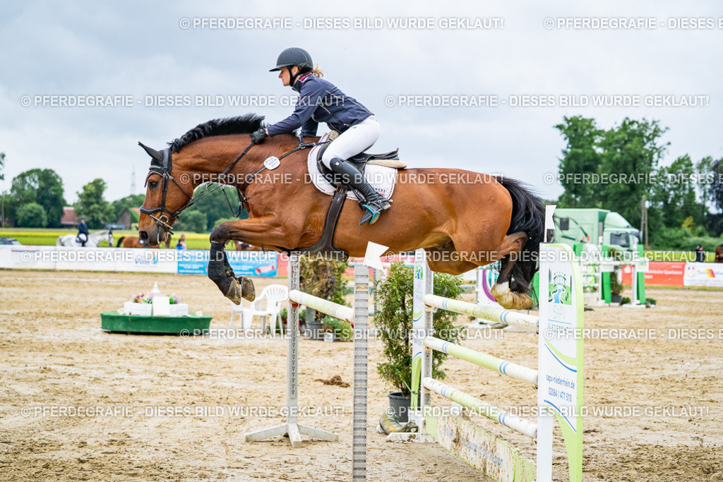 DSC04341 | Pferdegrafie