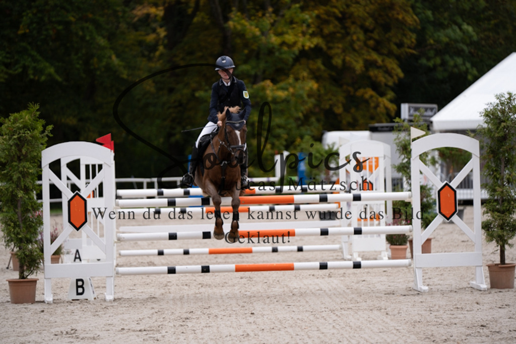 A7V01058 | Pferdefotograf