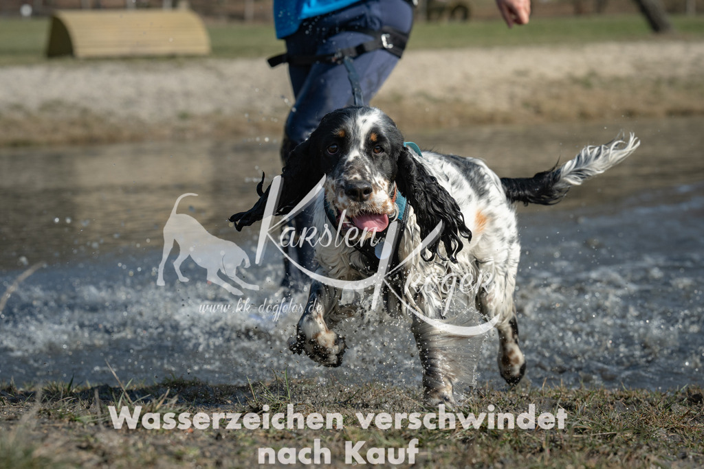 1326_ZZ96326 | kk-dogfotos