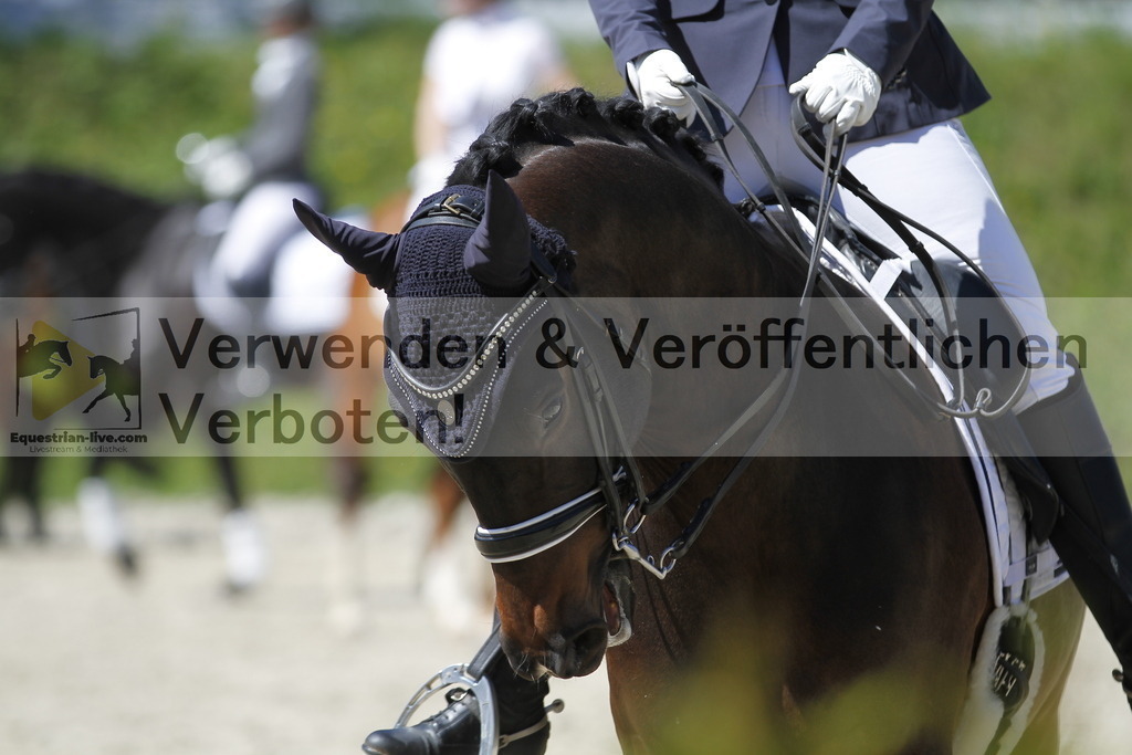 _MG_3738 | equestrian-live-com