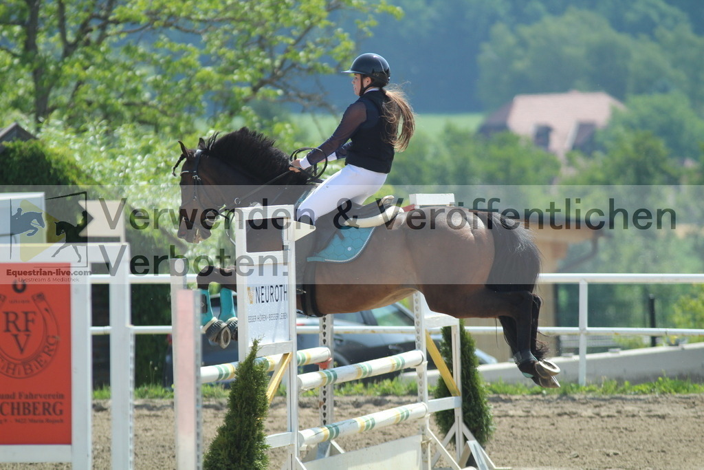 IMG_3478 | equestrian-live-com