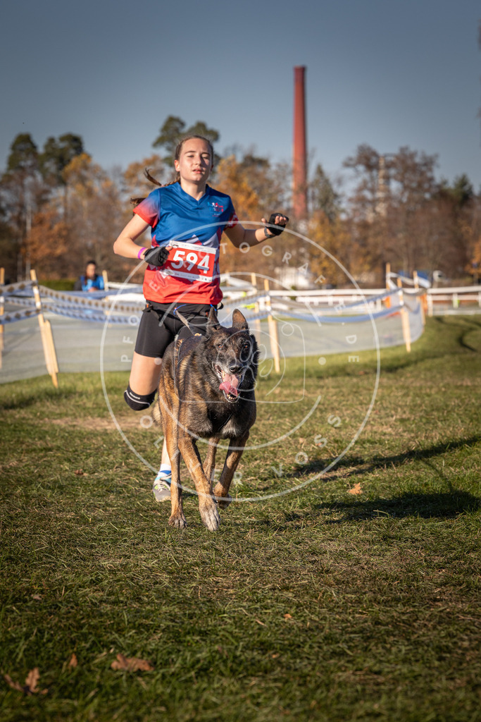 CaniXpix_0L8A8453 | Hundefotografie, Tierfotograf, Pfotenfotografie, Fotoshooting Hund, Hunde Portrait, Hundesport, Hundeportraits, Heideshooting, Hunde, Sportfotograf, Hundefotograf, Turnierhundsport, THS,  - Realisiert mit Pictrs.com