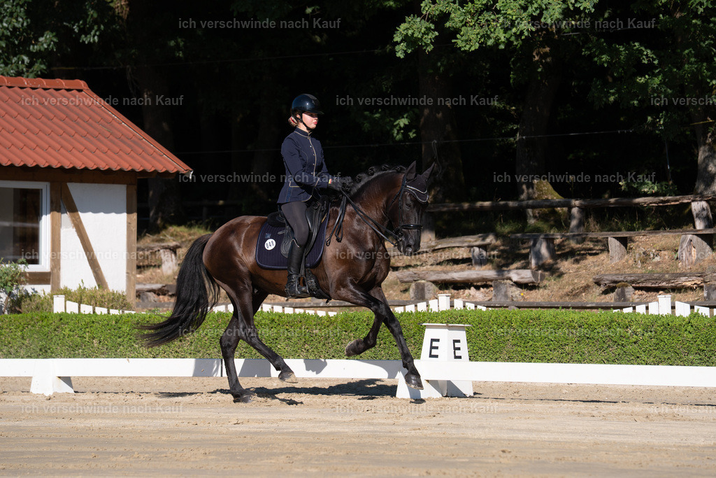 WM_DR_48_sinafilmart_IN04269 | working equitationturnier fotograf videograf stoibphotography marixx film working equitation deutschland reitsport turnierfotografie eventfotografie equestrian events
