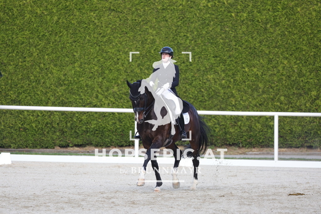 0P6A3740 | Willkommen bei Brunnmayr - Design & Fotografie – Ihrem Spezialisten für Reitturniere und Pferdeveranstaltungen in Oberösterreich, Salzburg und Bayern! Seit über 17 Jahren sind wir leidenschaftlich dabei.