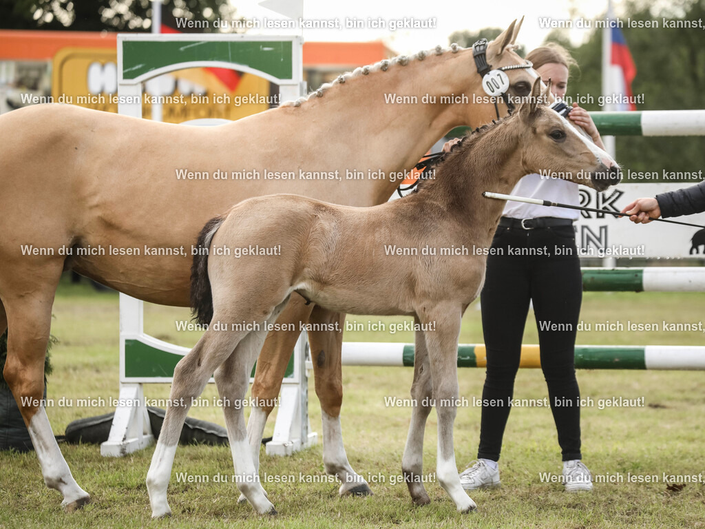 598A2391-2 | photographylinaismer - Realisiert mit Pictrs.com