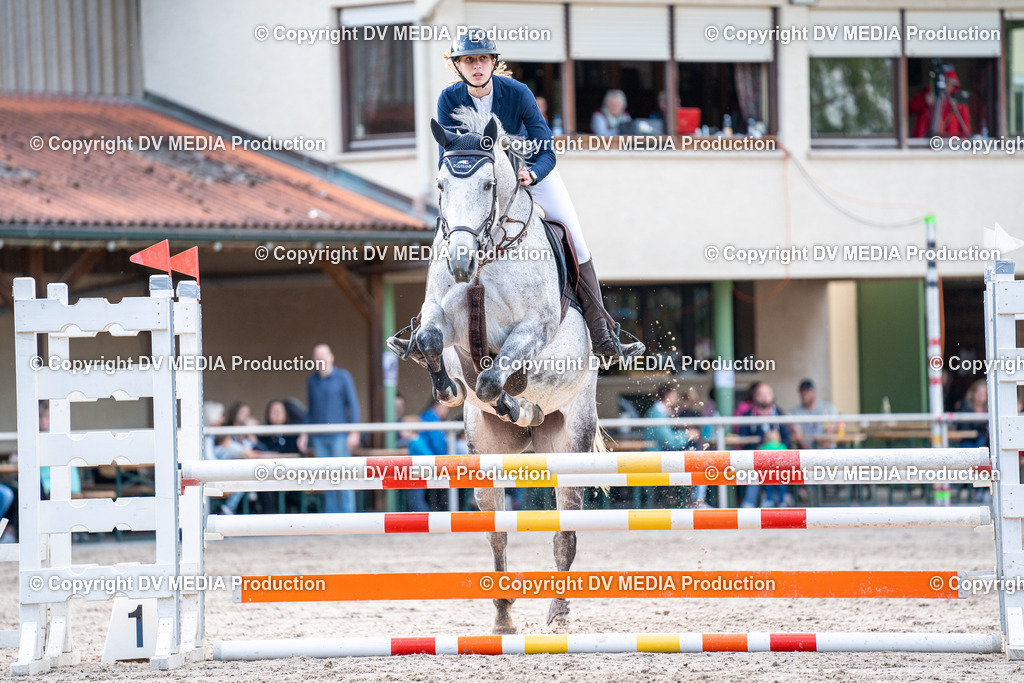 Eppelheim Tag 2-601 | dv-media-shop - Realisiert mit Pictrs.com