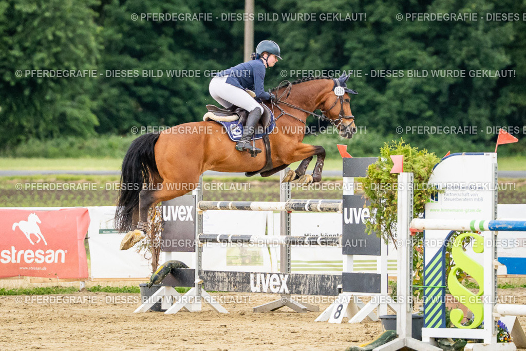 DSC06843 | Pferdegrafie