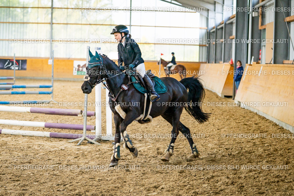 DSC00982 | Pferdegrafie