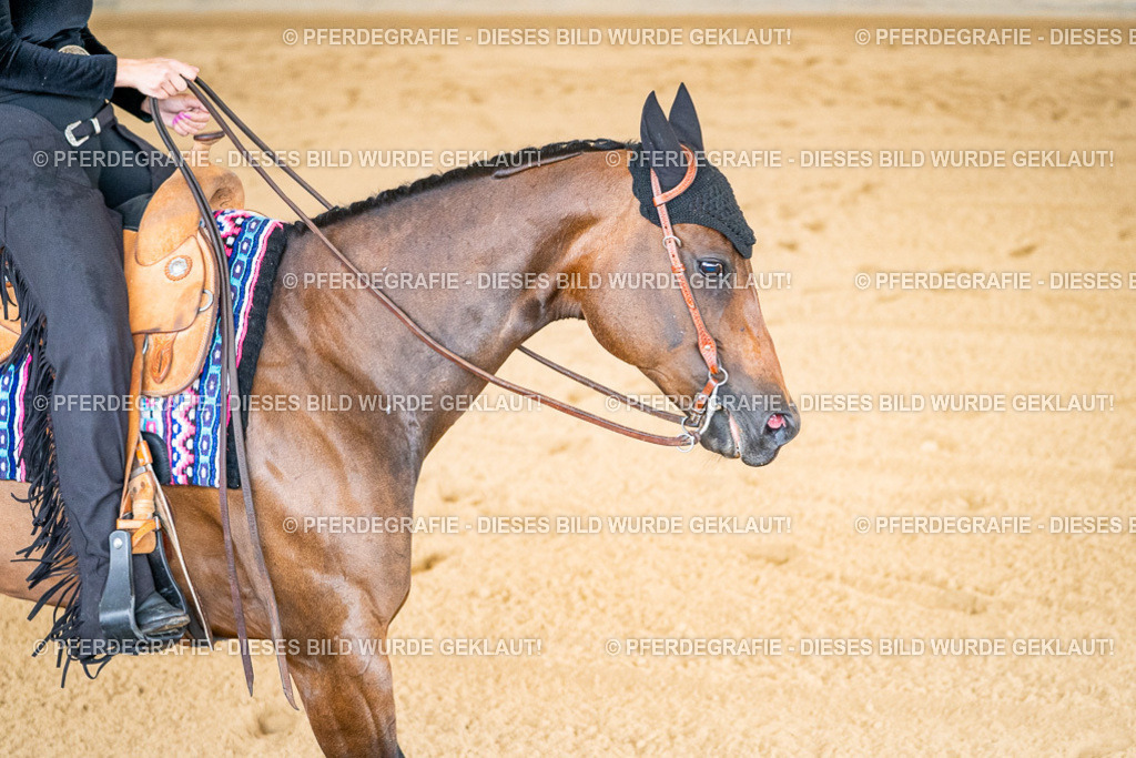 DSC01730 | Pferdegrafie