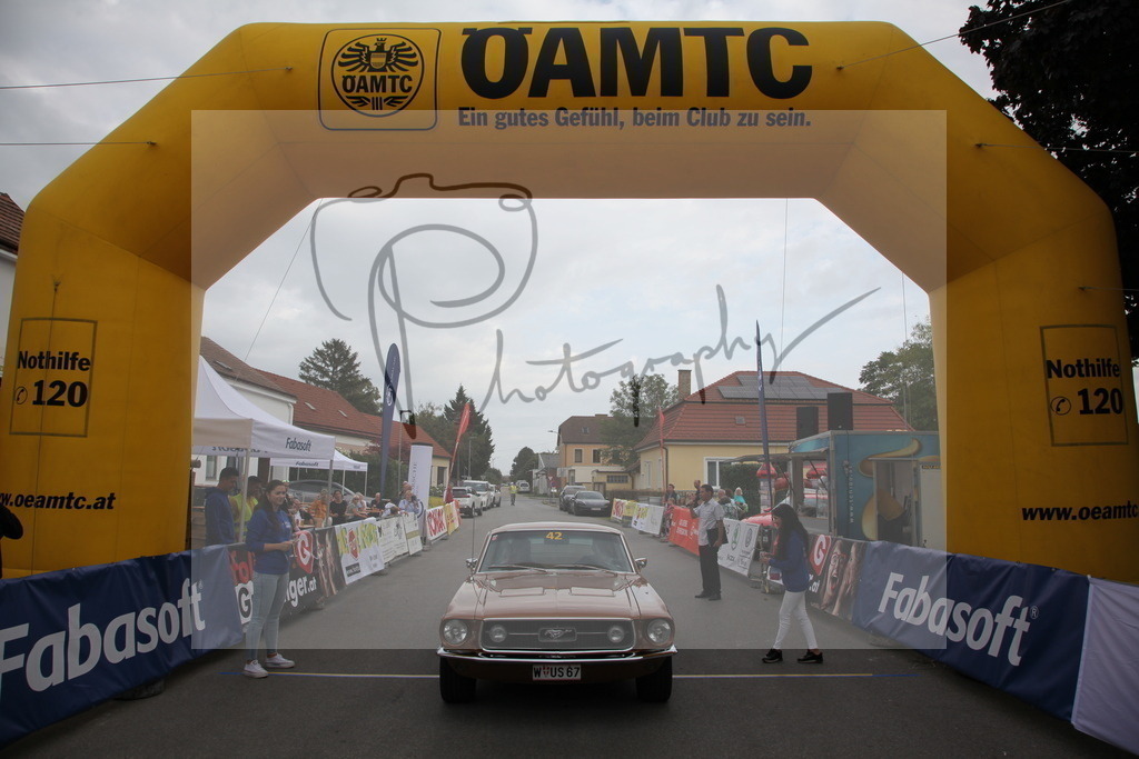 IMG_6019 | Gerhard Witt