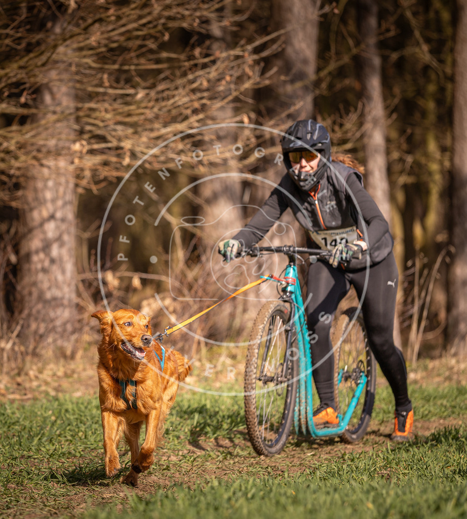 DV3A6116 | Hundefotografie, Tierfotograf, Pfotenfotografie, Fotoshooting Hund, Hunde Portrait, Hundesport, Hundeportraits, Heideshooting, Hunde, Sportfotograf, Hundefotograf, Turnierhundsport, THS,  - Realisiert mit Pictrs.com