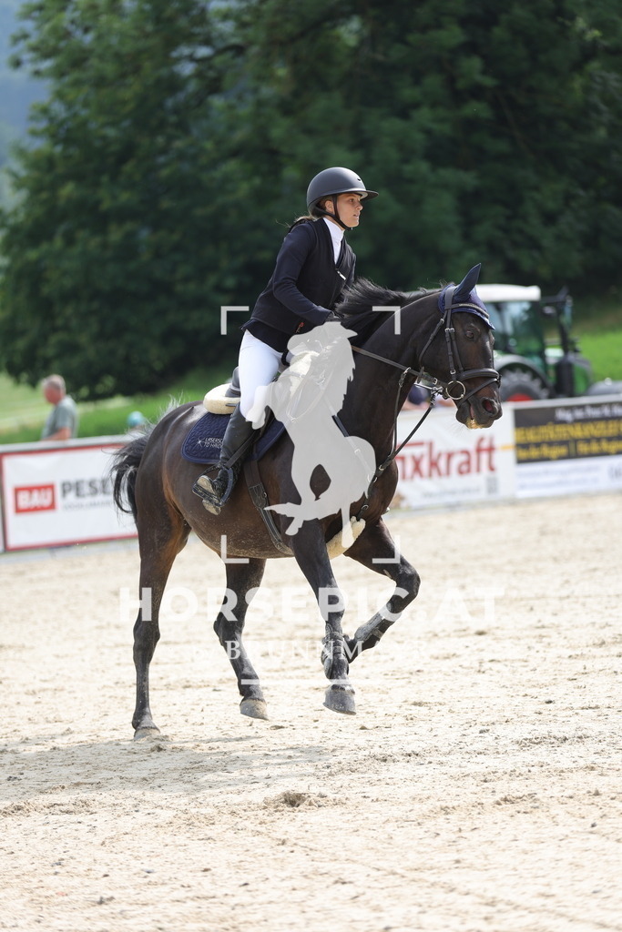 0P6A5224 | Willkommen bei Brunnmayr - Design & Fotografie – Ihrem Spezialisten für Reitturniere und Pferdeveranstaltungen in Oberösterreich, Salzburg und Bayern! Seit über 17 Jahren sind wir leidenschaftlich dabei.
